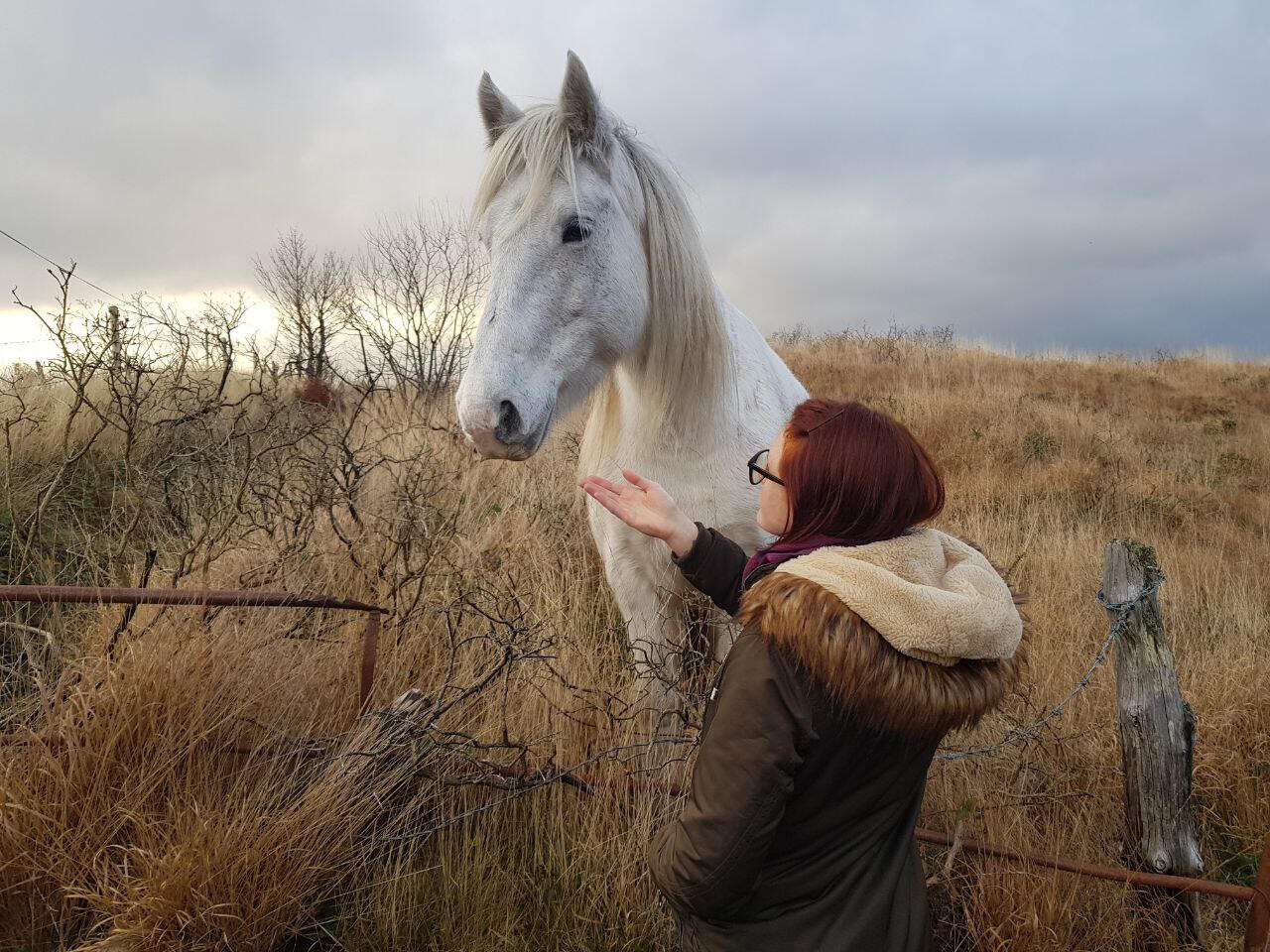 A woman taking a detour to feed a beautiful horse during a spiritual female rite of passage in the wilds of Ireland